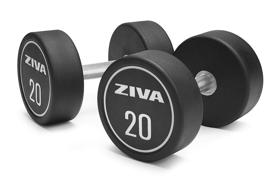 Banc Plat Flat Bench Salle de sport Bordeaux