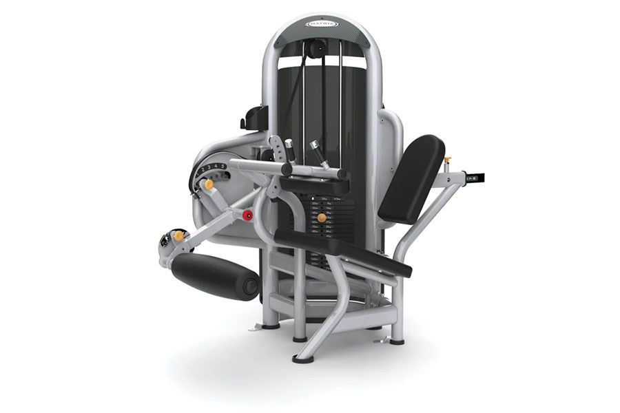 Leg Curl Assis Seated Leg Curl Salle de sport Bordeaux